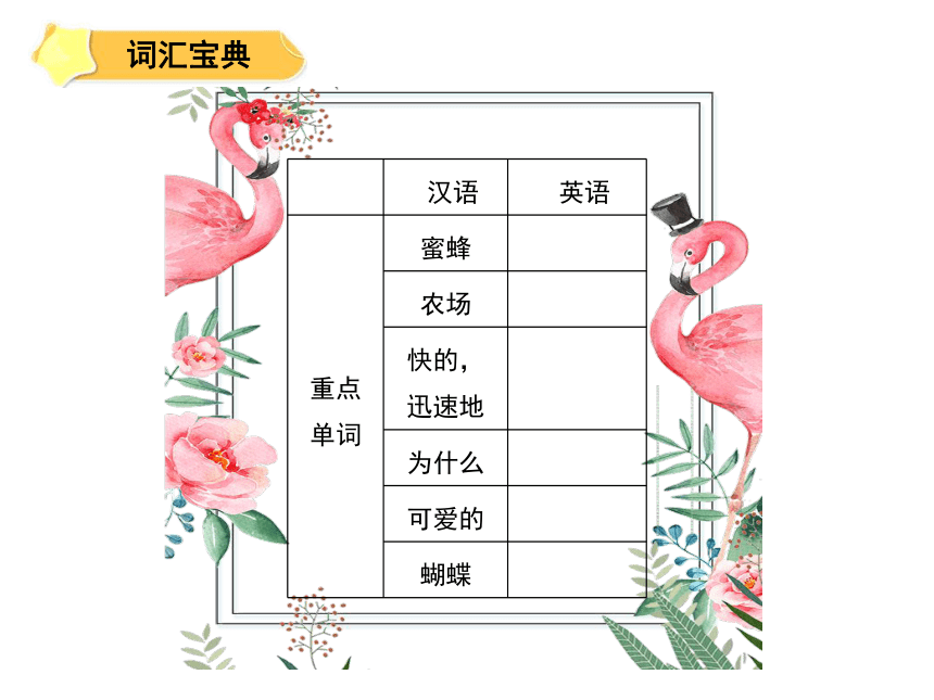 人教新起点五年级英语上册 Unit 3 Animals 课件（共65张PPT）