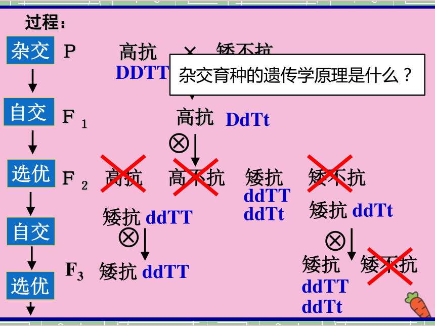 植物細胞的全能性(4)途徑4依據的原理是____________,此途徑與雜交