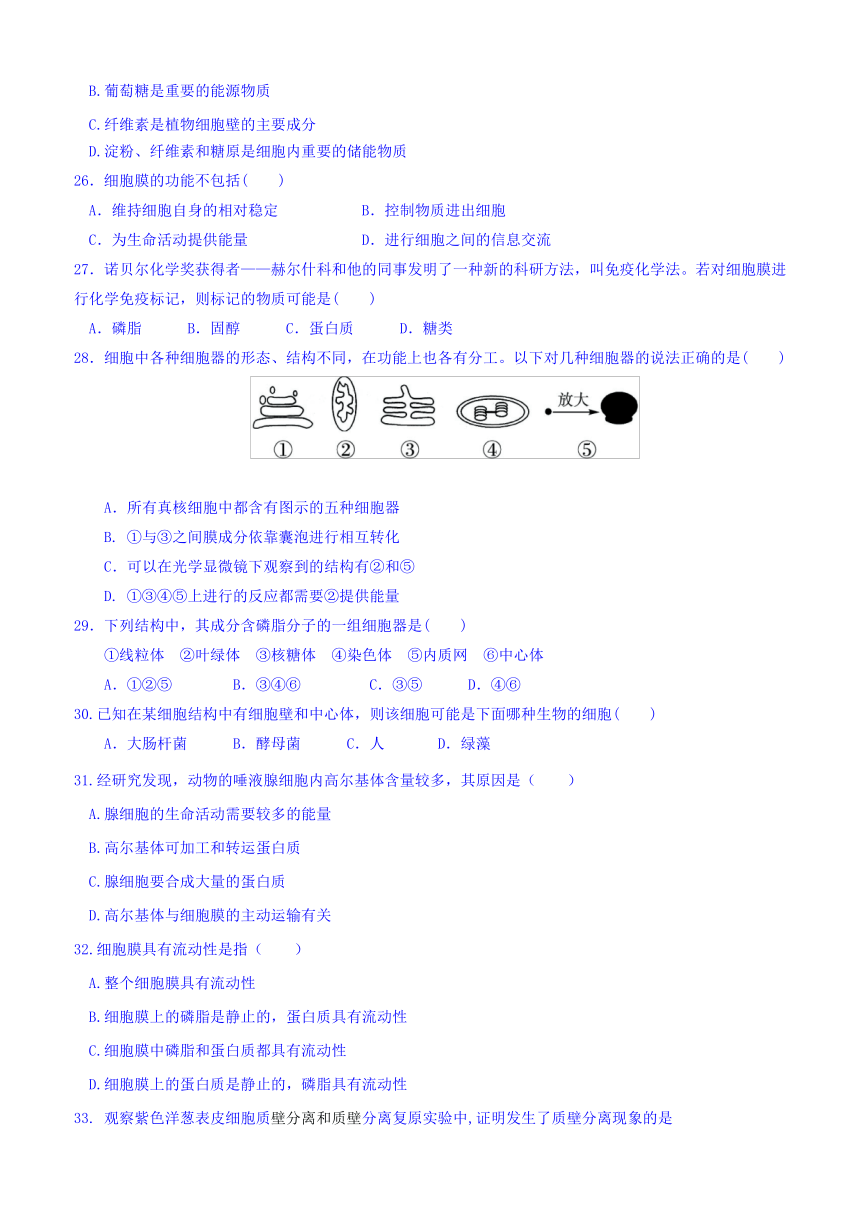 青海省西宁市第五中学2016-2017学年高一12月月考生物试题 Word版含答案