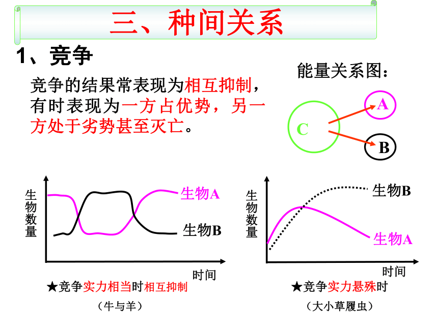 山东版高中生物必修三第二章群落的结构(公开课) （32张）