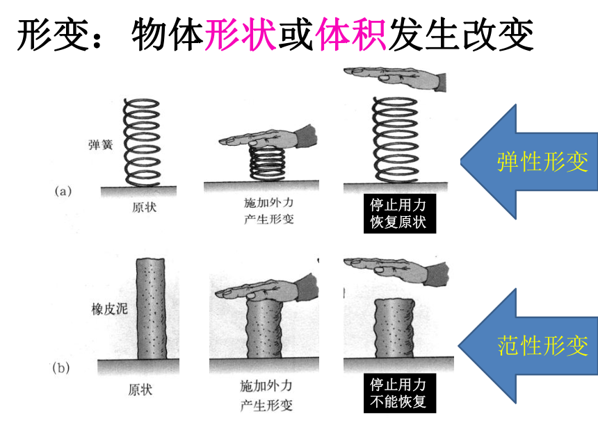 2018苏科版八年级物理下册课件：8.1   力 弹力 (共29张PPT)