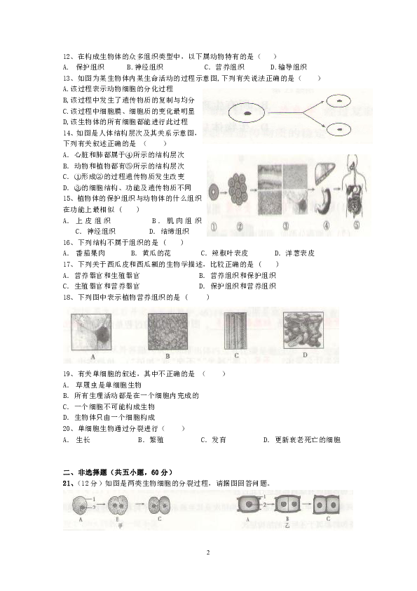 2019-2020学年七年级生物上册第一次月考试题