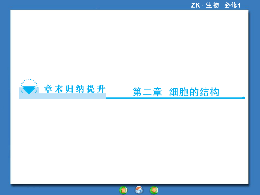 【课堂新坐标，同步备课参考】2013-2014学年高中生物（浙科版）必修1课件：章末归纳提升2第2章 细胞的结构（共48张PPT）