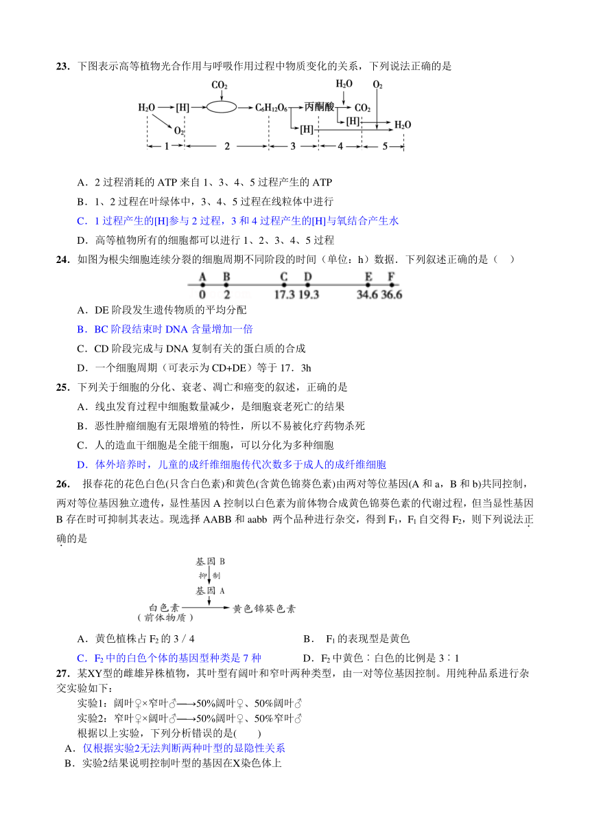 四川省遂宁市卓同教育高中部（安居育才中学）2015-2016学年高一下学期期末考试生物试题