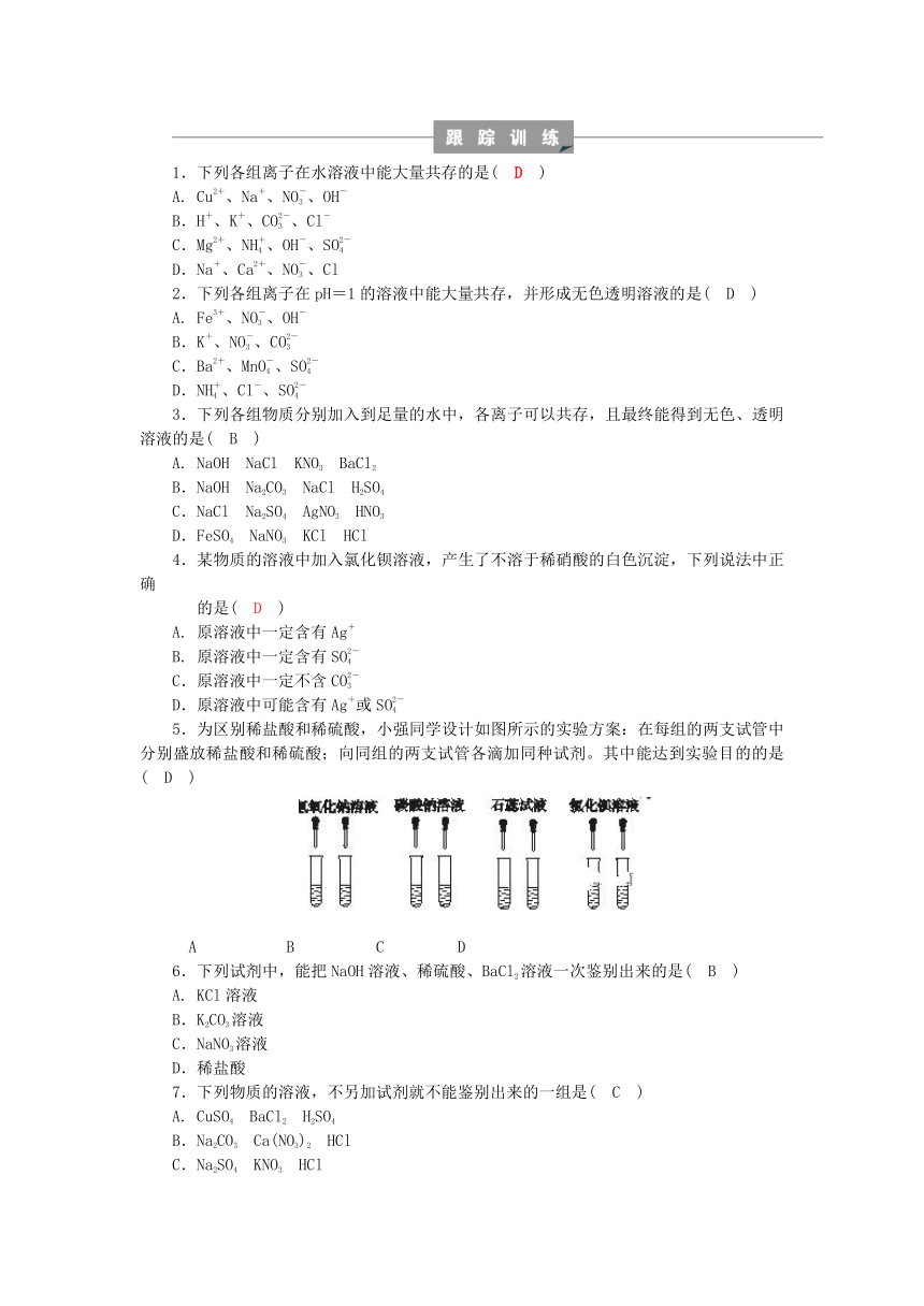 第1章 物质及其变化 专题分类突破一 离子共存和检验