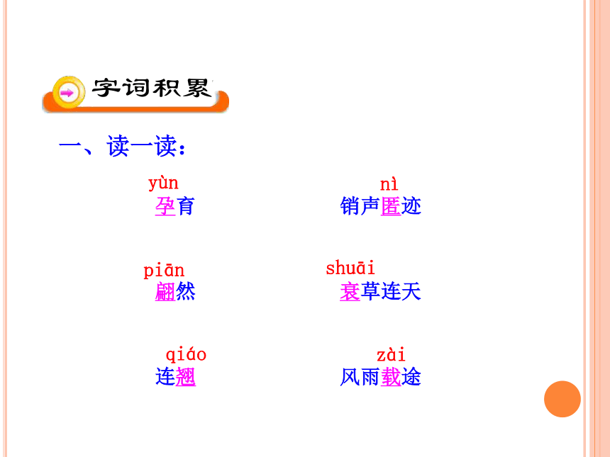 5 大自然的语言课件（26张ppt）