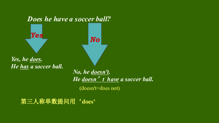 Unit 5 Do you have a soccer ball? 5.2 Grammar Focus（同步课件）