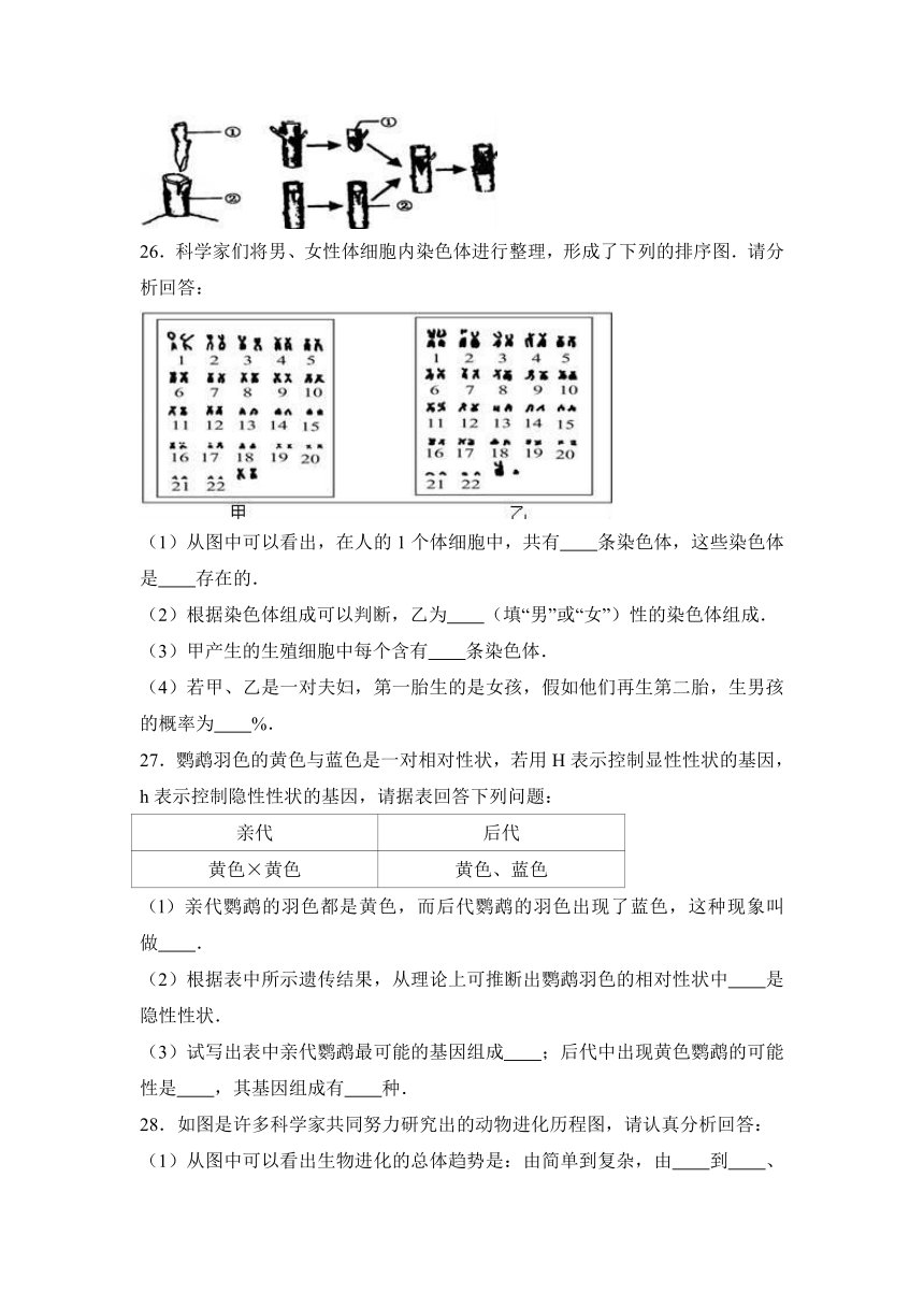 海南省海口市美舍学校2016-2017学年八年级（下）月考生物试卷（3月份）（解析版）