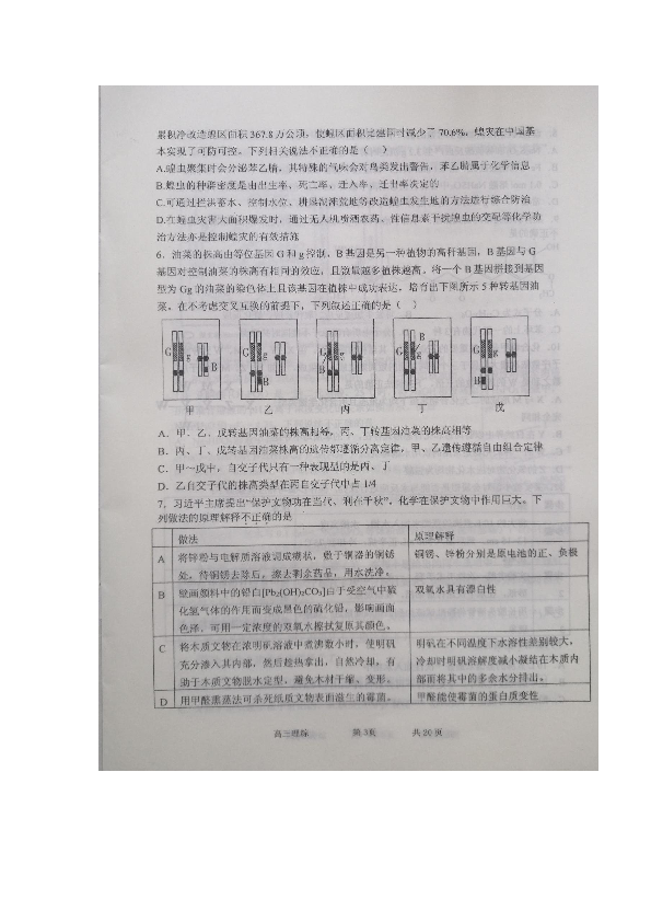 河北省石家庄二中2020届高三6月高考全仿真测试理科综合试题 图片版含答案
