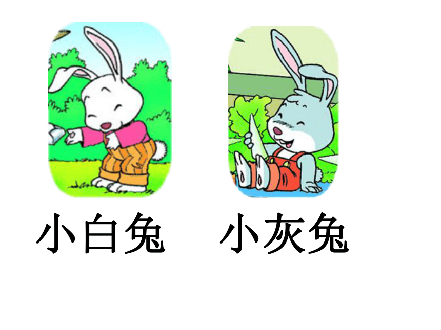 语文一年级下北京版5.16《小白兔和小灰兔》课件1