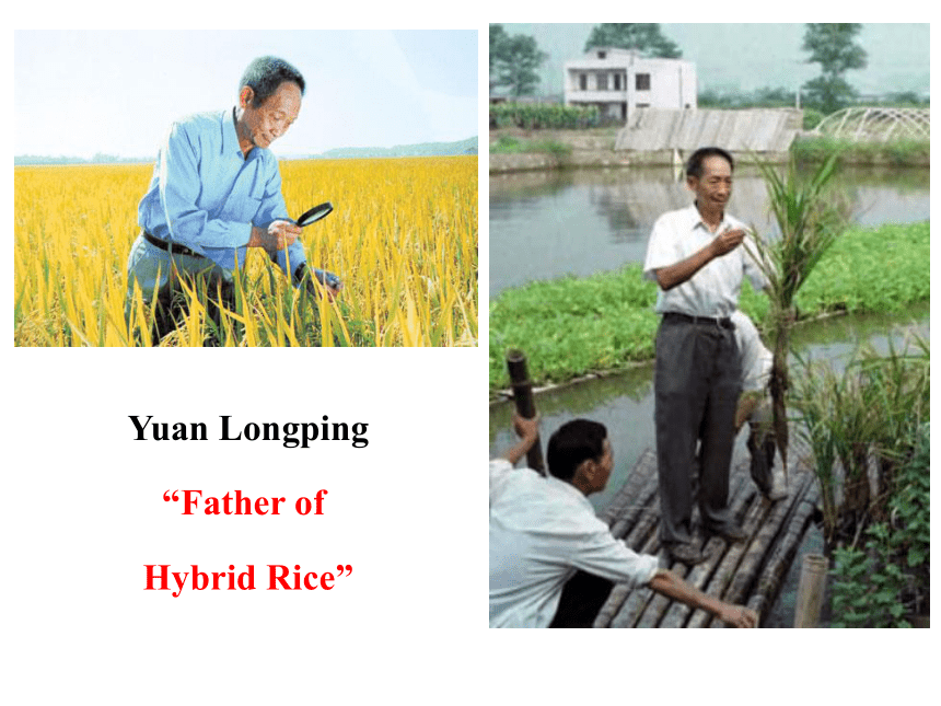 Unit 2 Working the land ( Warming Up,Pre-reading and Reading) 课件