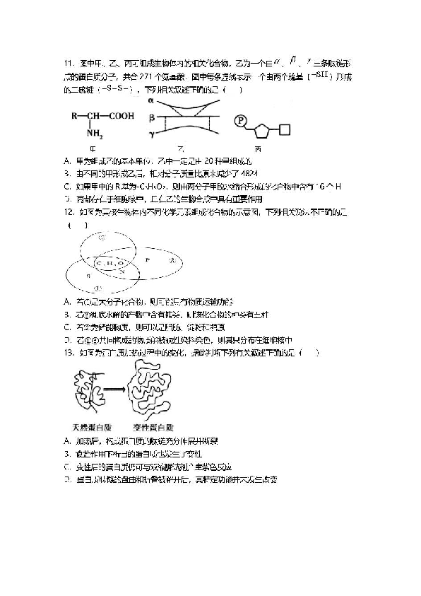 天津一中2019 -2020学年高二下学期期末模块质量调查生物试题 PDF版含答案