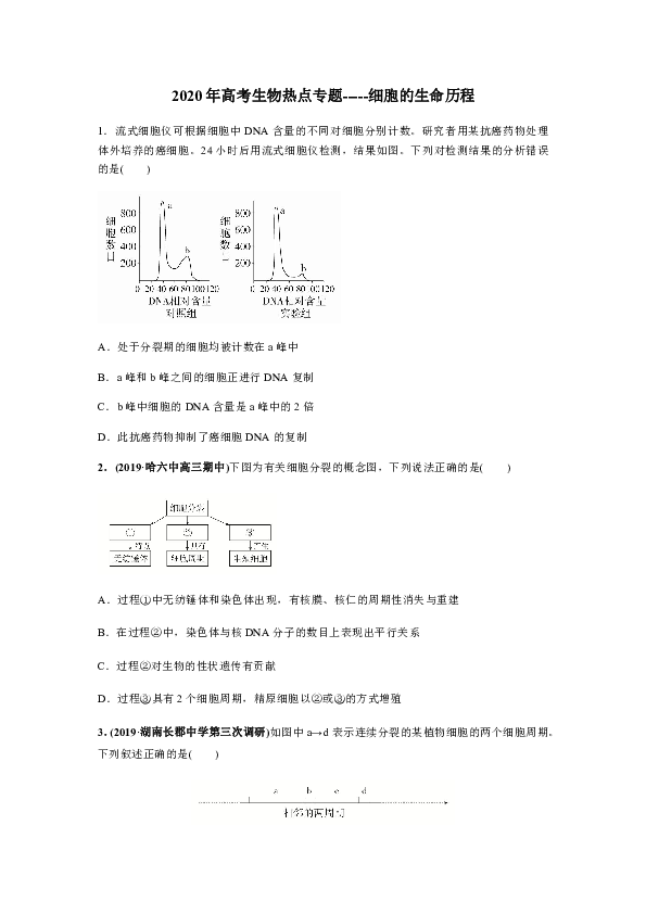 2020年高考生物热点专题 细胞的生命历程（附答案解析）