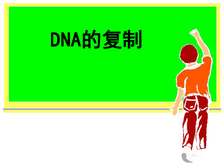 人教版高中生物 必修2 第3章 3 DNA的复制（共18张PPT）