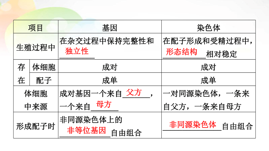 【备考2022一轮复习】必修2 第1单元 第3讲 基因在染色体上、伴性遗传（共95张PPT）