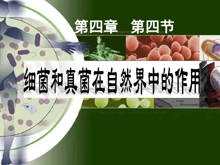 细菌和真菌在自然界中的作用 课件  (共21张PPT)