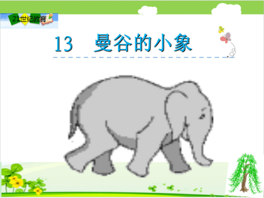 13《曼谷的小象》课件