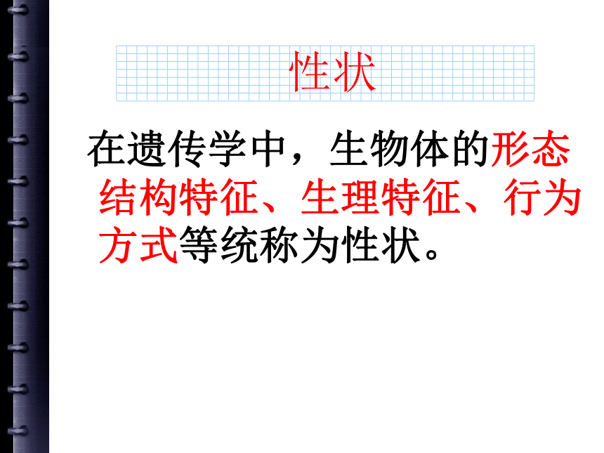 河北省望都县第三中学八年级生物下册教学课件：基因控制生物的性状（共31张PPT）