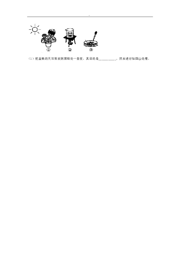 第三单元《生物圈中的绿色植物》单元测试题（解析版）