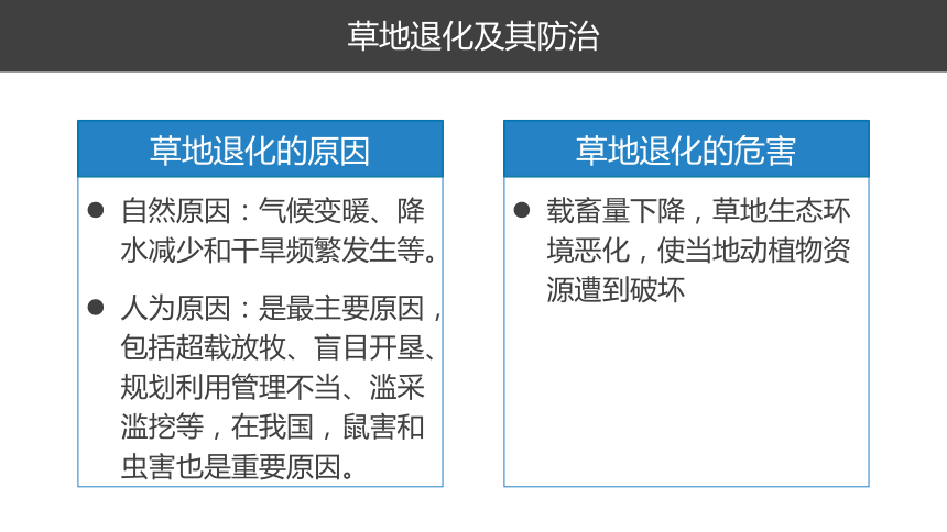 高考地理总复习 选修六环境保护 考点三生态环境保护 课件（27张PPT）