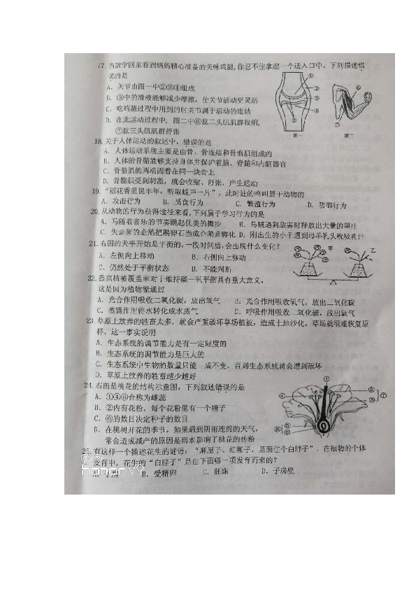 江苏省徐州市2018-2019学年度第一学期期末抽测八年级生物试卷（图片版））