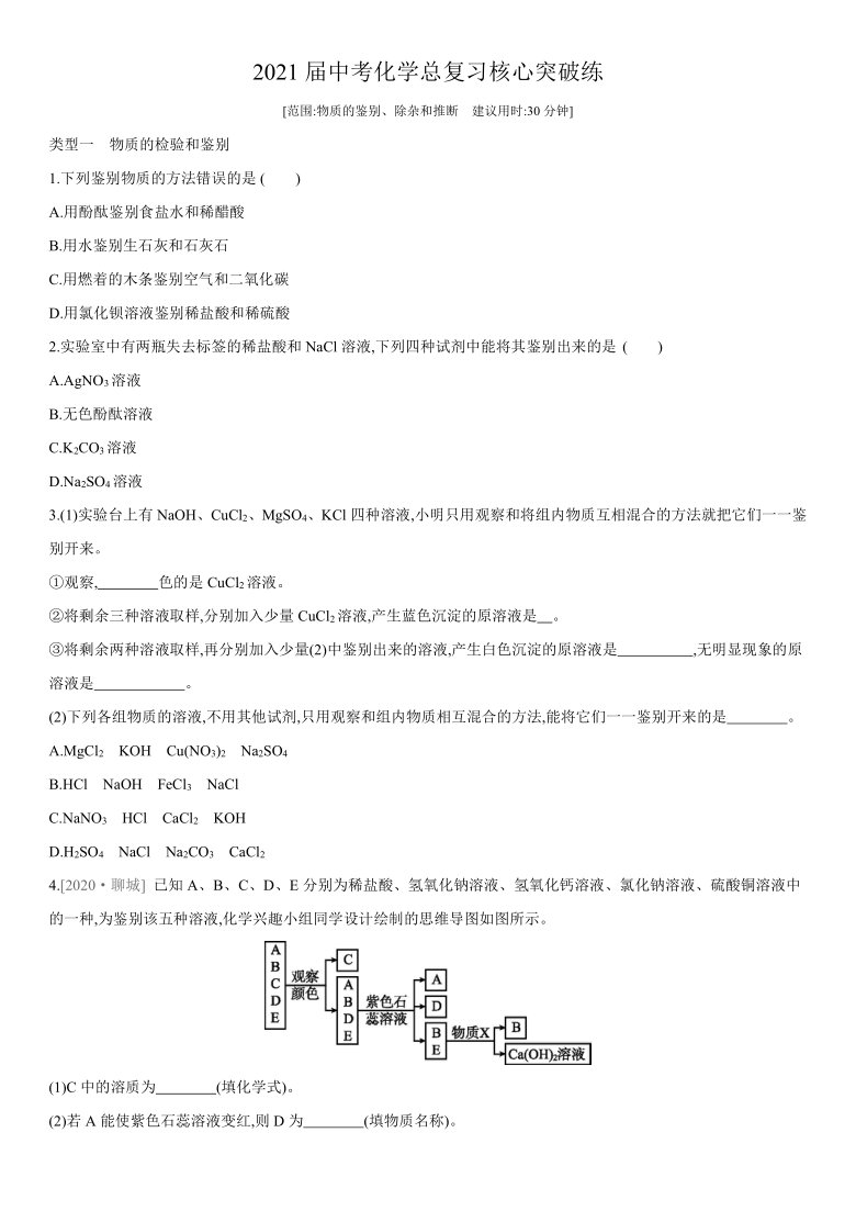 人教版2021届中考化学总复习核心突破练(五)（word   含解析）