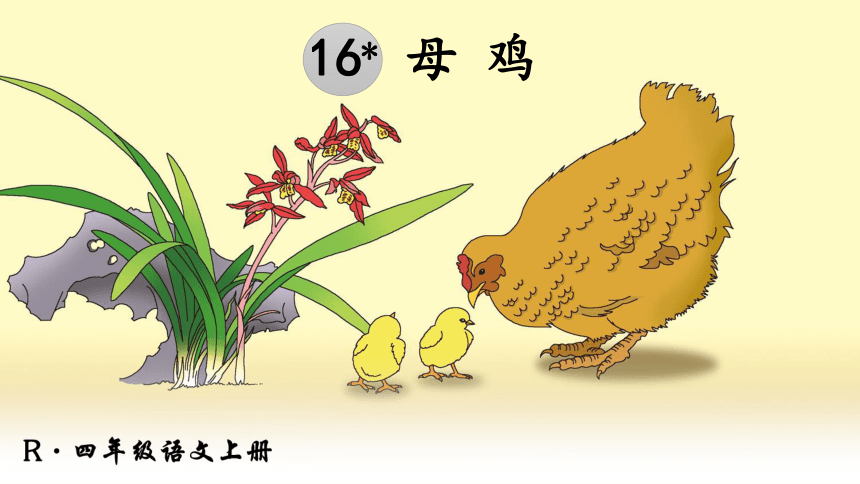 母鸡课文 插图图片