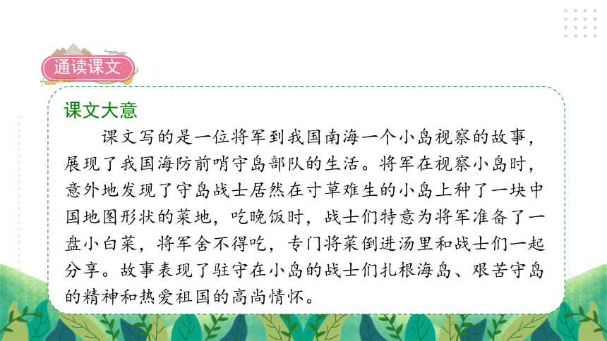 15小岛课件41张ppt