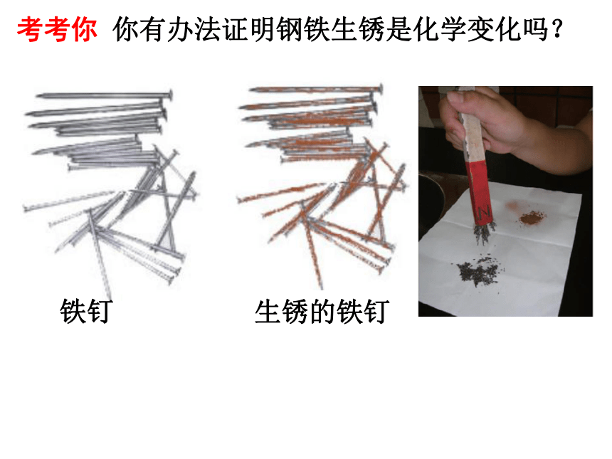 4.8 物理性质和化学性质（课件 24张ppt）