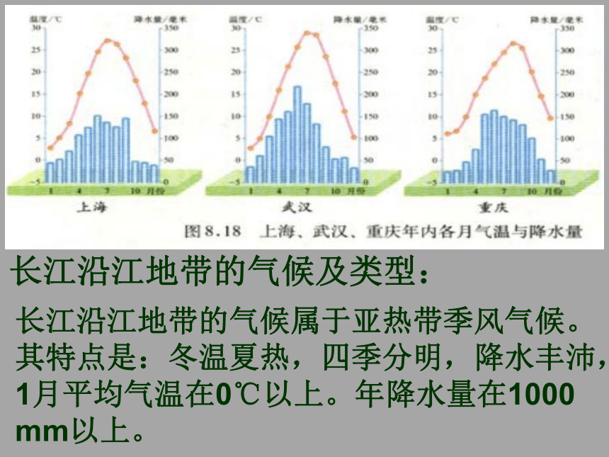 黑龙江省密山市实验中学八年级地理下册：第八章  长江沿江地带 课件 (共19张PPT)