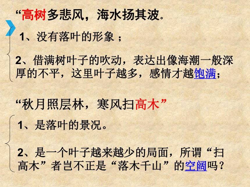 说“木叶”课件 (共34张PPT)