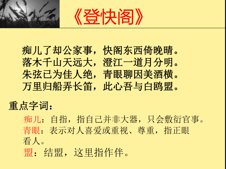 课件预览