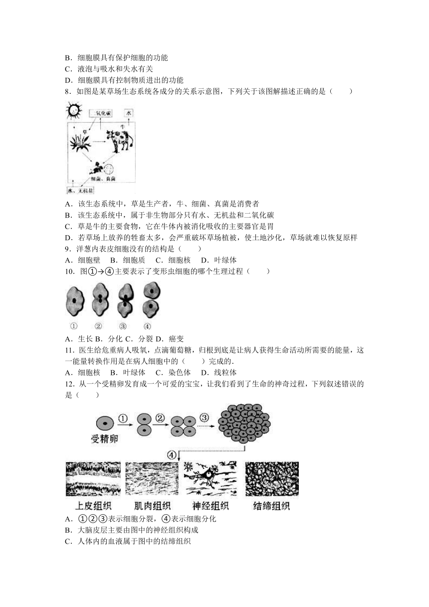 江西省赣州市赣县四中2016-2017学年七年级（上）期中生物试卷（解析版）