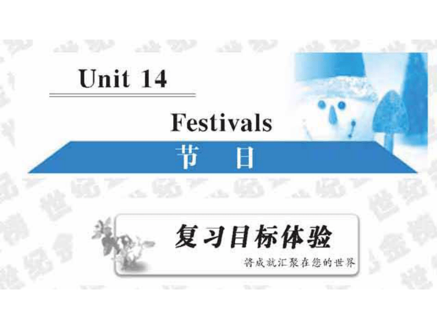 unit 14 Festivals 复习课件