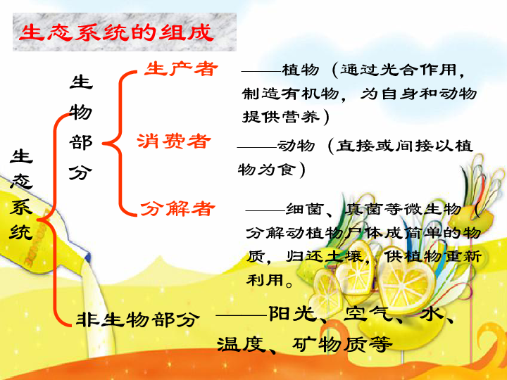 苏教版八上生物 19.1 生态系统的组成 课件（共24张PPT）