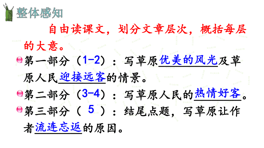 草原课件（共42张PPT）