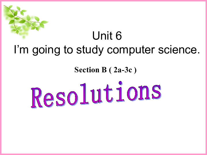 Unit 6 I’m going to study computer science Section B ( 2a-3c )（21张PPT）