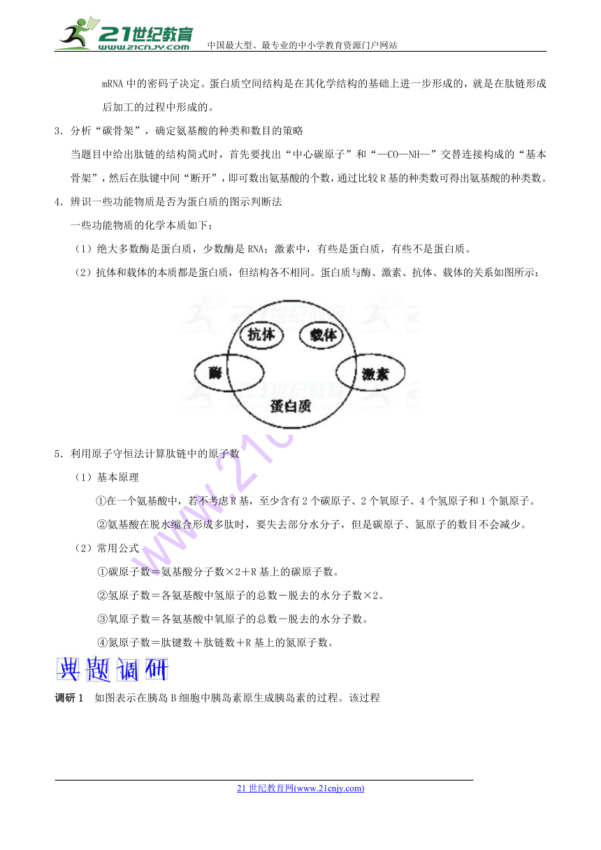 2018年高考生物高频考点解密02+核酸和蛋白质