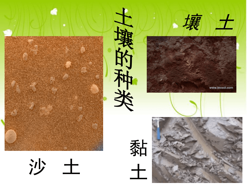 科学四年级下青岛版3.8土壤的种类课件（26张）