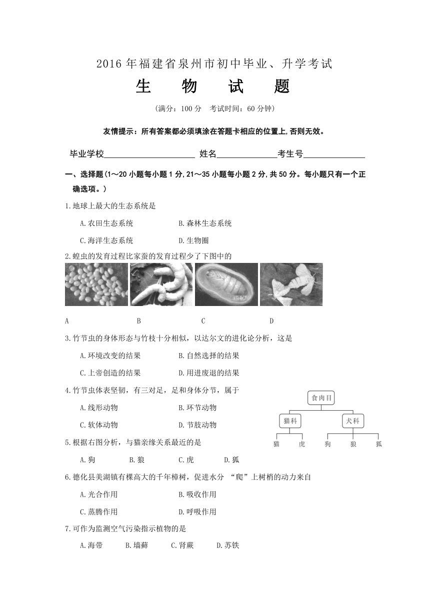 福建省泉州市2016年中考生物试题（word版，含答案）