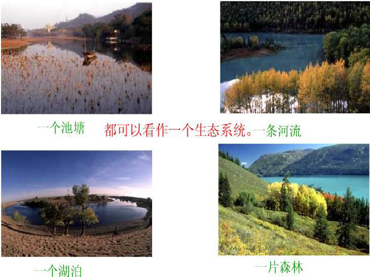 冀教版八下生物 7.3.4保护生态环境 课件（29张PPT）