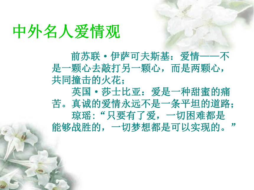 《致橡树》 课件（51张）