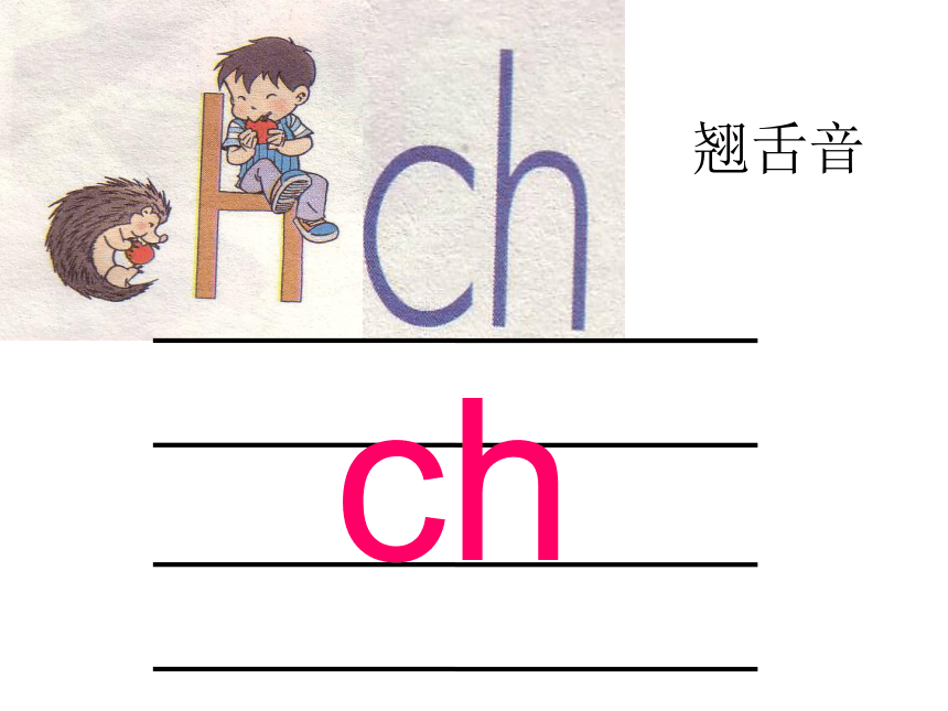 《zh ch sh r》课件1