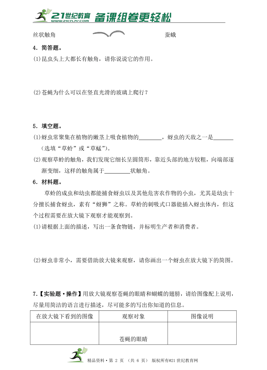 教科版六年级科学下   2.放大镜下的昆虫世界同步练习（含答案）