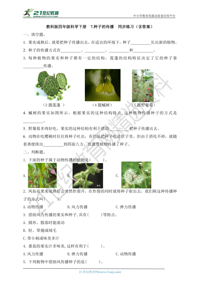 教科版四年级科学下 1.7 种子的传播 同步练习（含答案）