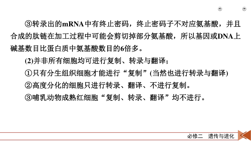 考能提升4 遗传的物质基础和基本规律（共30张PPT）