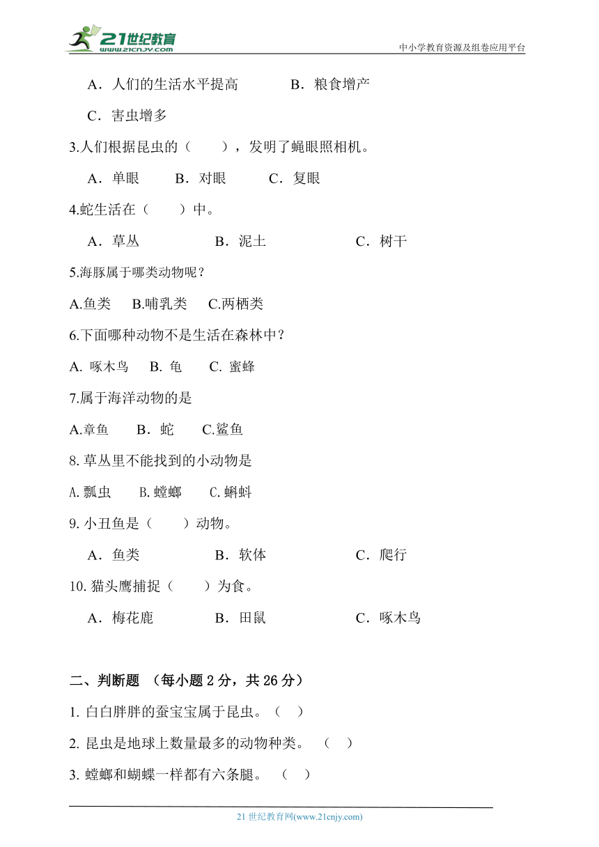 课件预览