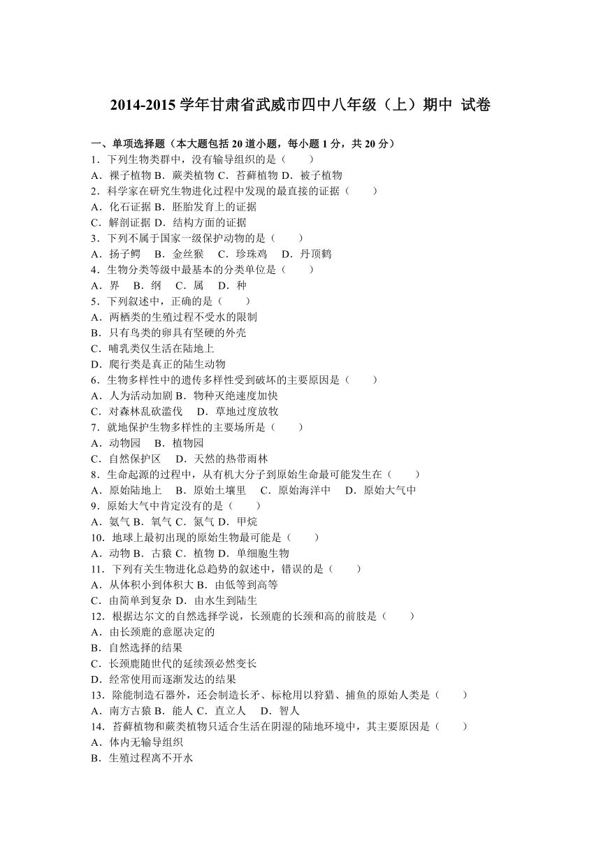 甘肃省武威市四中2014-2015学年八年级（上）期中试卷（解析版）