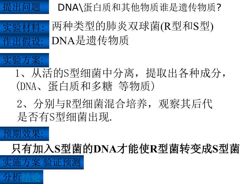 福建省安溪蓝溪中学（人教版）高一生物必修二课件：3.1DNA是主要的遗传物质 （共22张PPT）