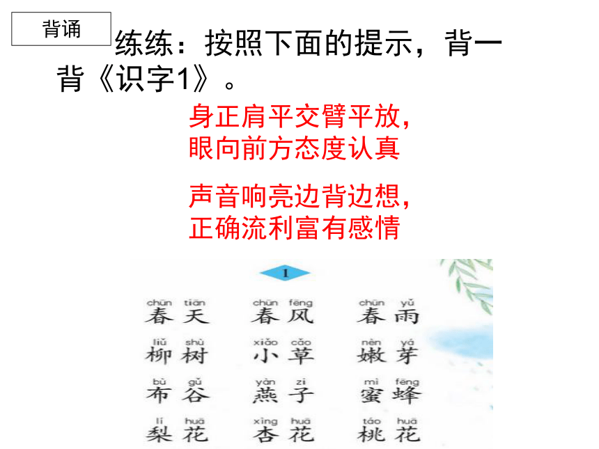 苏教版二年级上册《培养良好的学习习惯3》(精改)